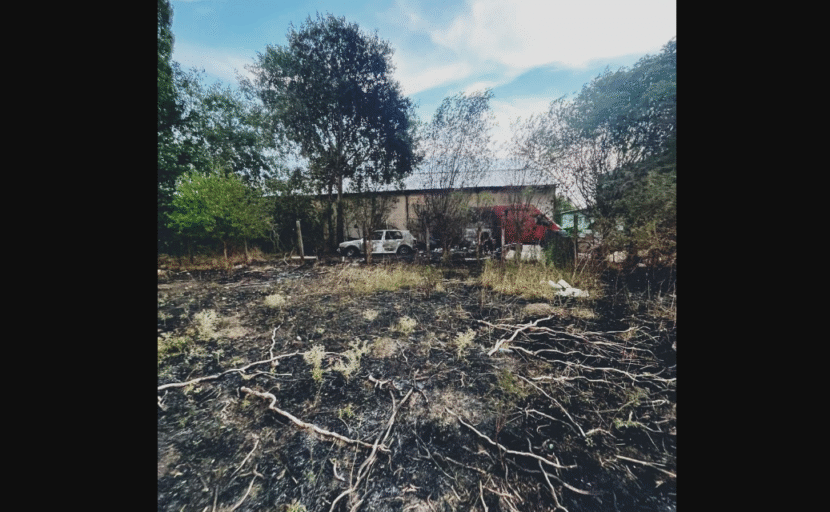 Opera snapshot 2025 08 03 204851 whatsapp202025 08 032020.32.01.jpeg