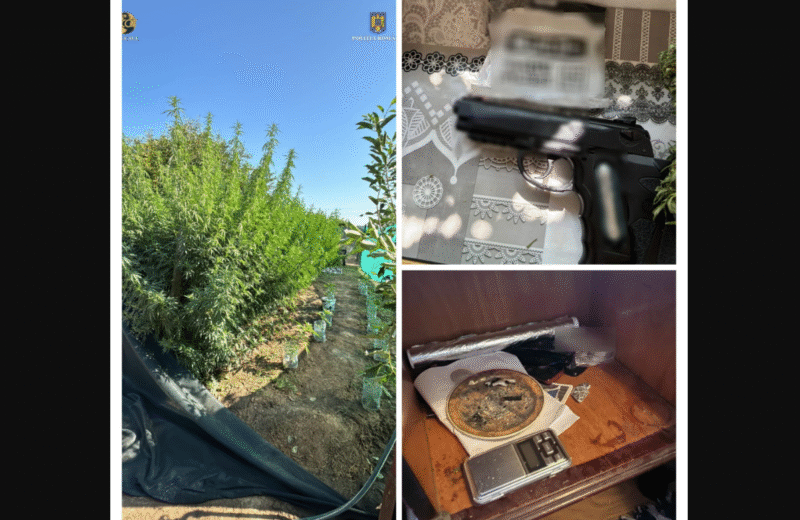 Opera snapshot 2025 08 12 214607 whatsapp202025 08 122021.26.26.jpeg