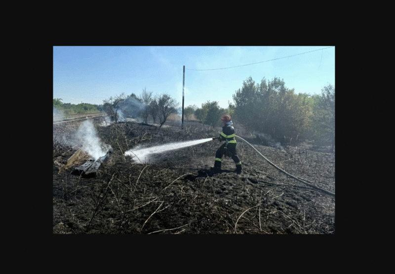 Opera snapshot 2025 08 16 162240 incendiu vegetatie 5.jpg