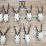 Whatsapp image 2025 08 04 at 12.43.52