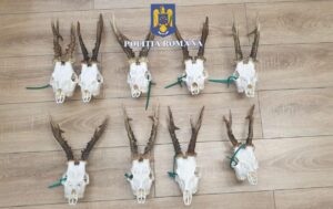 Whatsapp image 2025 08 04 at 12.43.52