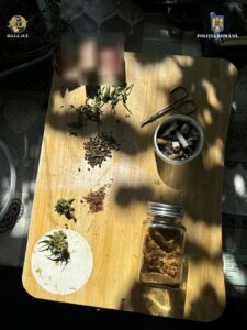 Whatsapp image 2025 08 12 at 14.49.54 (2)