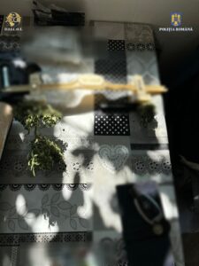 Whatsapp image 2025 08 12 at 14.52.04