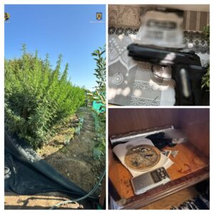 Whatsapp image 2025 08 12 at 21.26.26