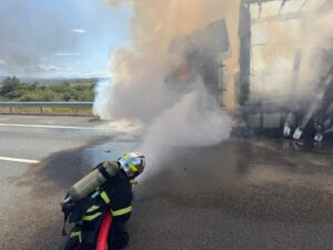 Whatsapp image 2025 08 25 at 14.00.02