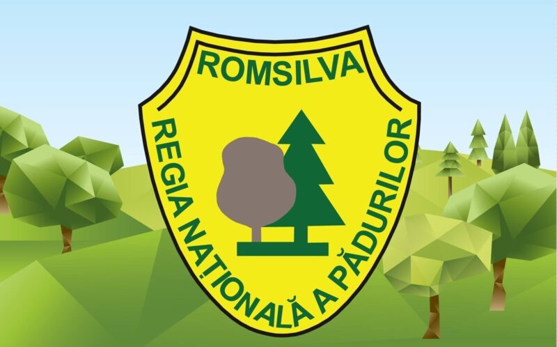 Media 175437725854525000