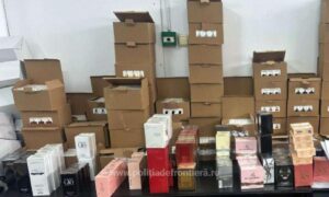 1759136357390 40981 s4