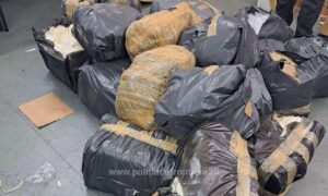 1759136358183 40979 s4