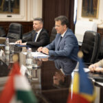 Întrevederea ministrului apărării cu ambasadorul ungariei în românia.6