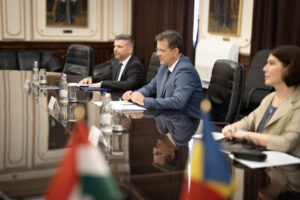 Întrevederea ministrului apărării cu ambasadorul ungariei în românia.6