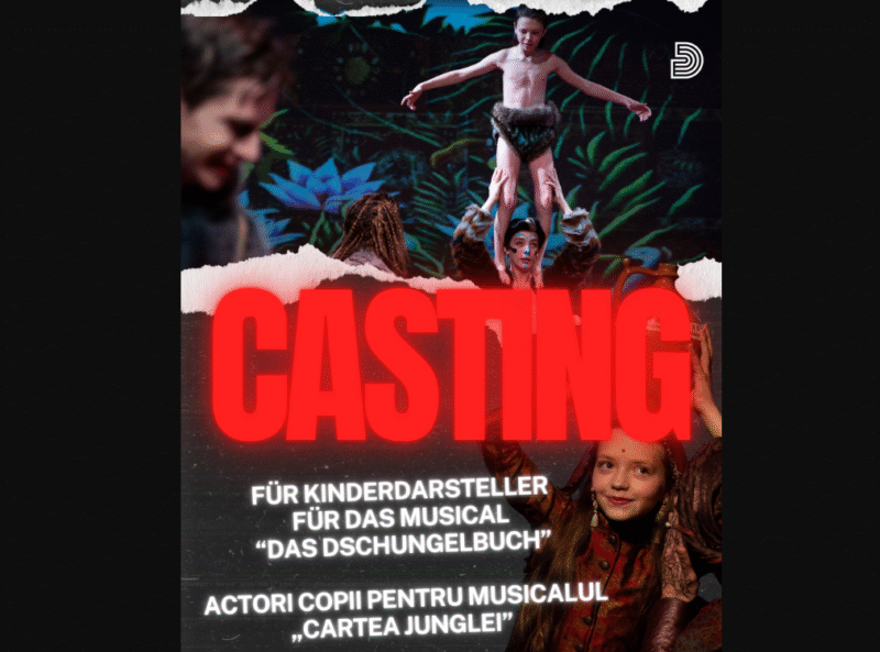 Opera snapshot 2025 09 01 175032 casting.jpg