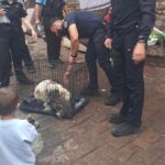 Whatsapp image 2025 09 26 at 12.54.44 (1)