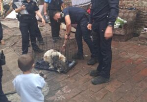 Whatsapp image 2025 09 26 at 12.54.44 (1)