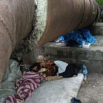 Cersetor 06 768x1098