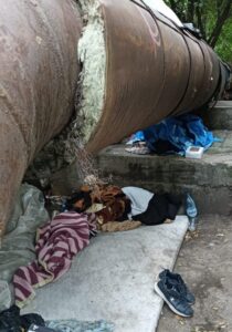 Cersetor 06 768x1098