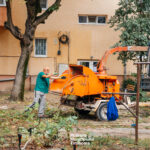 Curatenie spatii verzi 1