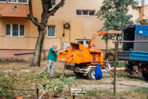 Curatenie spatii verzi 1
