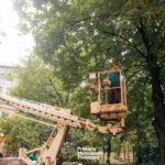 Curatenie spatii verzi 3