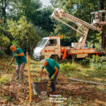 Curatenie spatii verzi 4