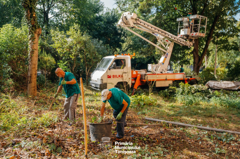 Curatenie spatii verzi 4