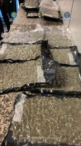 1760775174314 981 s4