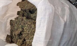 1760775180365 976 s4