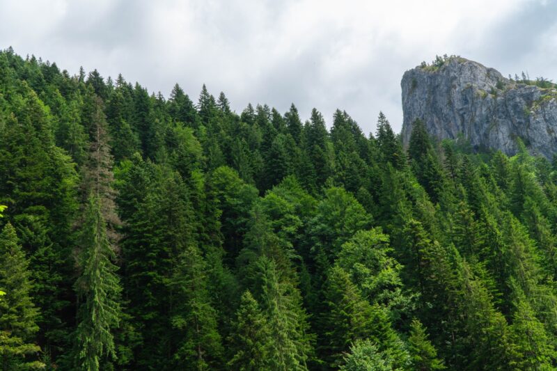 524355226 1188987389925218 6637715030997600042 n