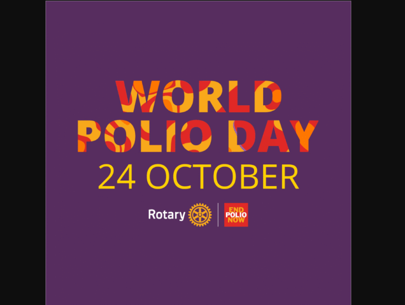 Opera snapshot 2025 10 25 083248 whatsapp202025 10 242023.25.43.jpeg