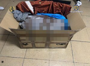 Whatsapp image 2025 10 01 at 17.57.29 (1)