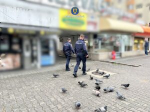 Whatsapp image 2025 10 05 at 12.24.14 (1)