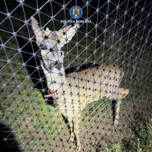 Whatsapp image 2025 10 06 at 11.05.29