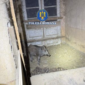 Whatsapp image 2025 10 06 at 11.05.30