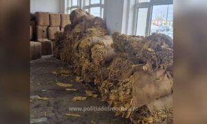 1762590694288 1034 S4