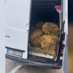 1762590694367 1033 S4