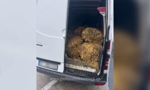 1762590694367 1033 S4