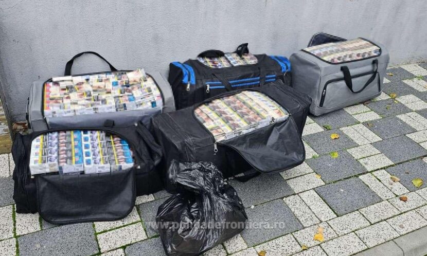 1763368796214 41188 S4