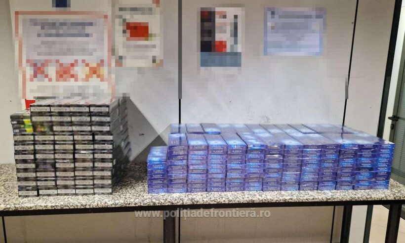 1763719394157 41213 S4