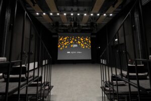 Cinema Johnny Freidorf Sala principala