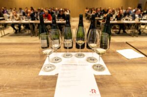 Rovinhud masterclass 2