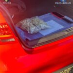 Whatsapp image 2025 11 03 at 12.52.17