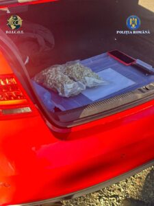 Whatsapp image 2025 11 03 at 12.52.17