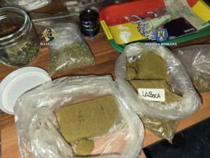 WhatsApp Image 2025 11 12 at 13.13.03