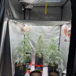 WhatsApp Image 2025 11 12 at 13.13.04