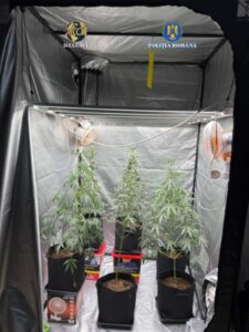 WhatsApp Image 2025 11 12 at 13.13.04