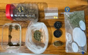 WhatsApp Image 2025 11 12 at 13.13.05