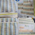 WhatsApp Image 2025 11 14 at 11.18.25 (2)