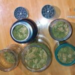 WhatsApp Image 2025 11 19 at 09.32.15 (1)