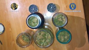 WhatsApp Image 2025 11 19 at 09.32.15 (1)