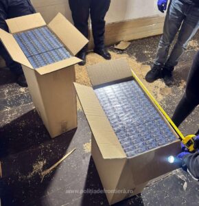 1764747699427 41231 S4