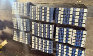 1764747701330 41229 S4